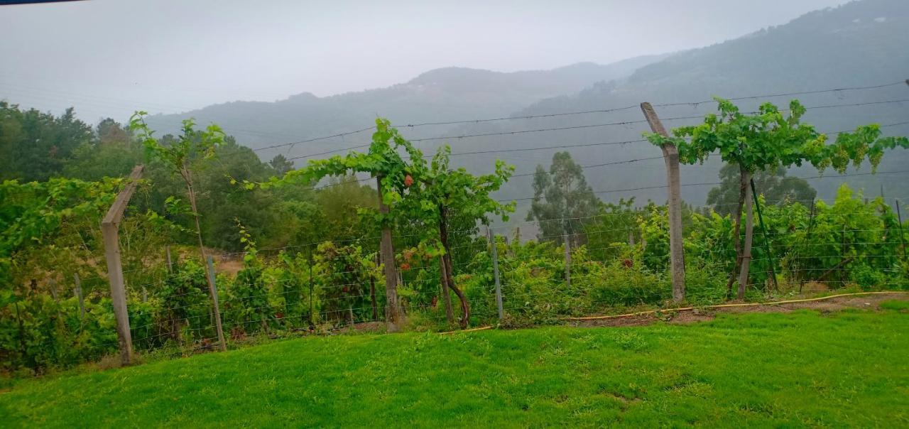 Casa Da Vina - Ribeira Sacra Villa Nogueira De Ramuin Exterior foto